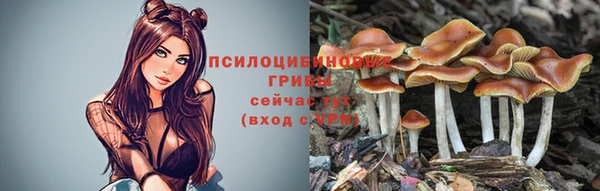 ALPHA PVP Семикаракорск