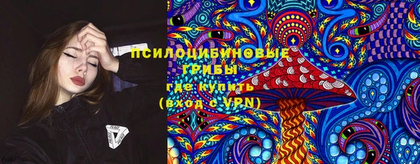 mdma Бородино